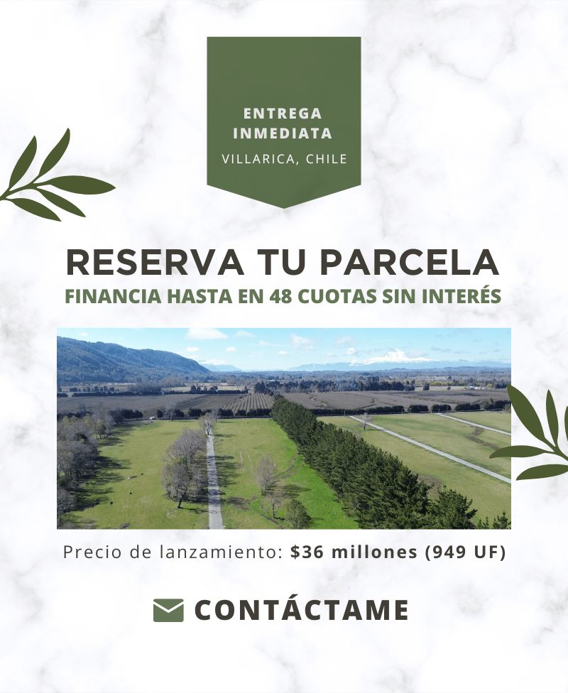 GrinB Marketing - Los Muermos - Puerto Montt