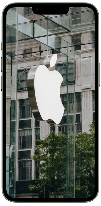 GrinB Marketing - Los Muermos - Puerto Montt